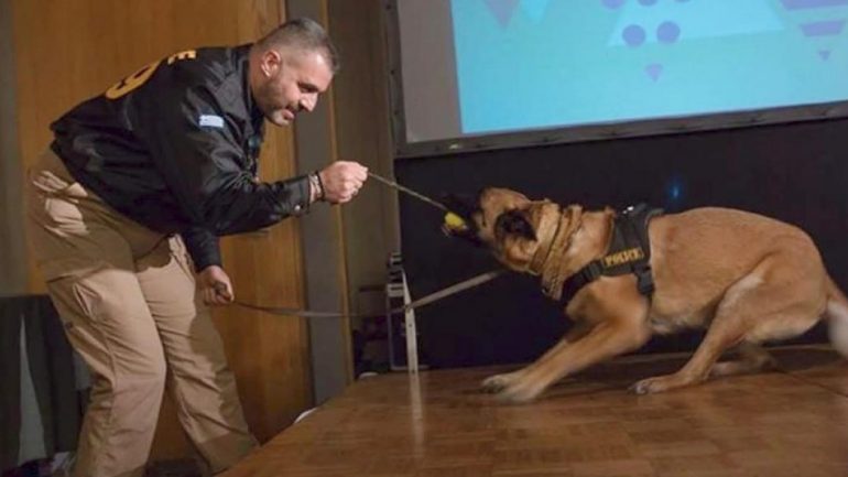 H ΕΛ.ΑΣ έχασε την «Anuk»