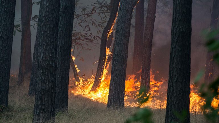 Γερμανία: Μεγάλη πυρκαγιά στα νότια του Πότσδαμ – Εκκενώθηκαν κοινότητες