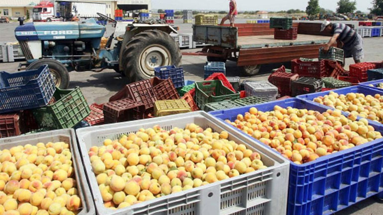 Στο 40% τείνει το μερίδιο της ελληνικής κονσέρβας ροδάκινου στη Ν. Κορέα