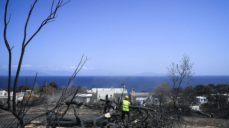 Ζερεφός: Να στηρίξουμε τους διασωθέντες από την πυρκαγιά για να αναπλασθεί εγκαίρως το περιβάλλον