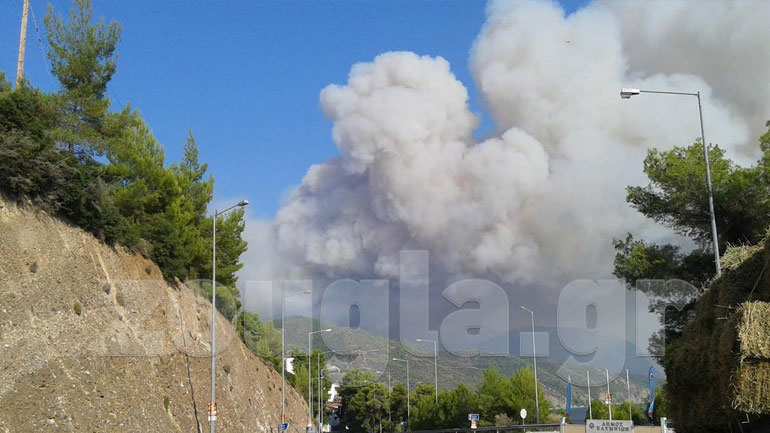 Συνελήφθη ο εμπρηστής της Εύβοιας – Είχε προκαλέσει 9 πυρκαγιές