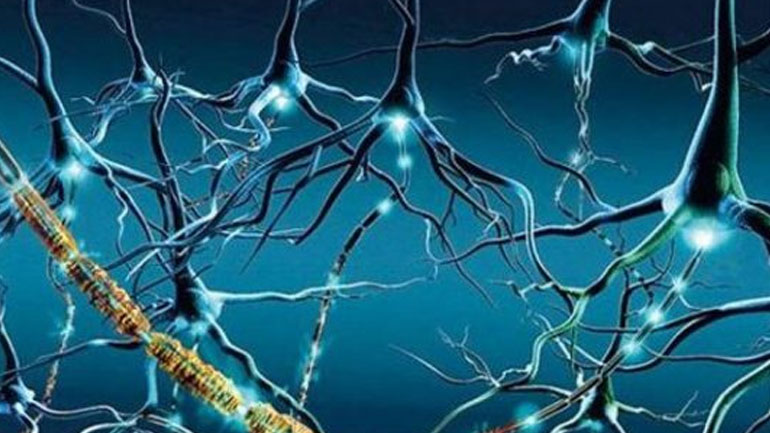 Σκλήρυνση κατά πλάκας και στυτική δυσλειτουργία