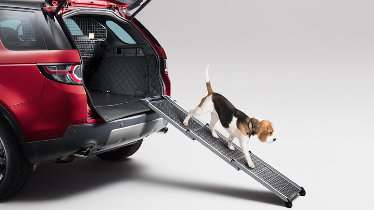 Στο Land Rover ο σκύλος σου θα αισθάνεται βασιλιάς!