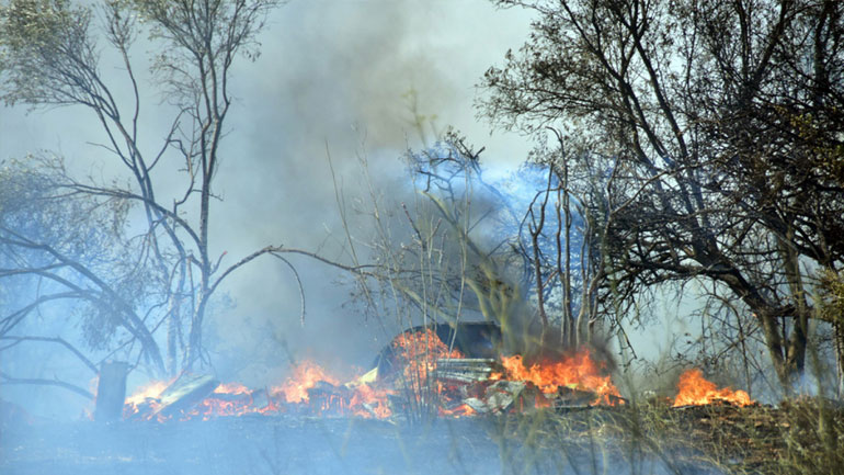 Τριάντα συλλήψεις τον Αύγουστο για εμπρησμούς σε όλη την Ελλάδα