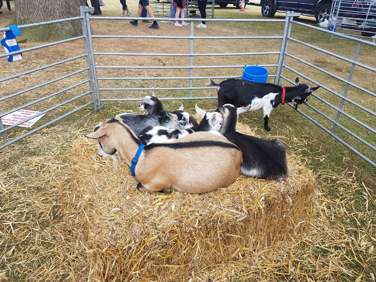 Στο zougla.gr θα διαβάσετε πραγματικές ειδήσεις, και πάνω από όλα διασταυρωμένες. Όσοι ψάχνετε σανό και κλικ ψάξτε... αλλού!