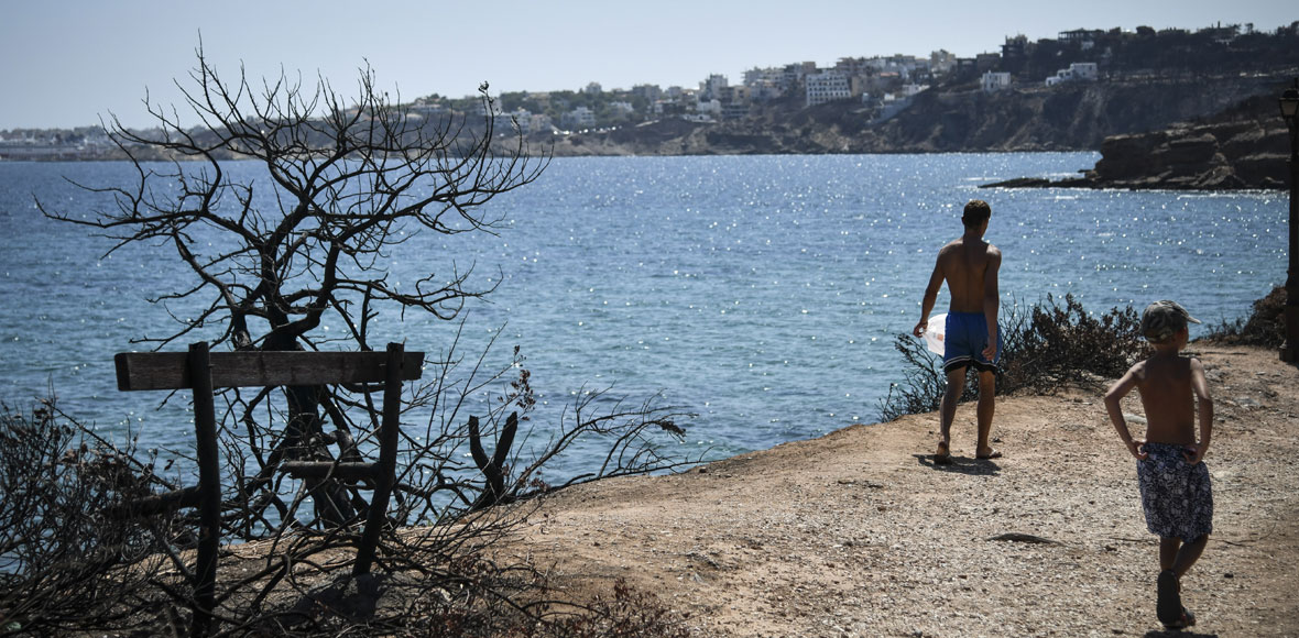 Η ζωή συνεχίζεται στο Μάτι