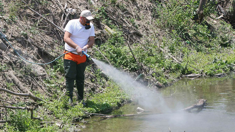 Συνεχίζονται στην Κεντρική Μακεδονία οι ψεκασμοί για την καταπολέμηση των κουνουπιών