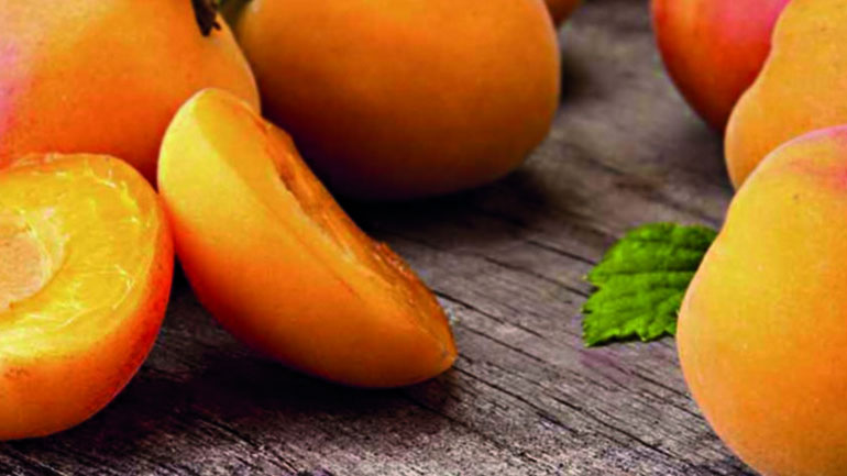 Βερίκοκο: Τα 10 απίστευτα οφέλη που προσφέρει στον οργανισμό μας