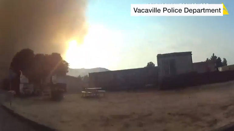 Αστυνομικοί σώζουν 60 ζώα από καταφύγιο δίπλα σε δασική πυρκαγιά