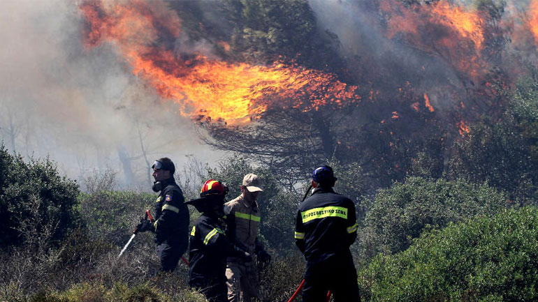 Σε εξέλιξη πυρκαγιά σε δασική περιοχή στη Λευκίμμη Αλεξανδρούπολης