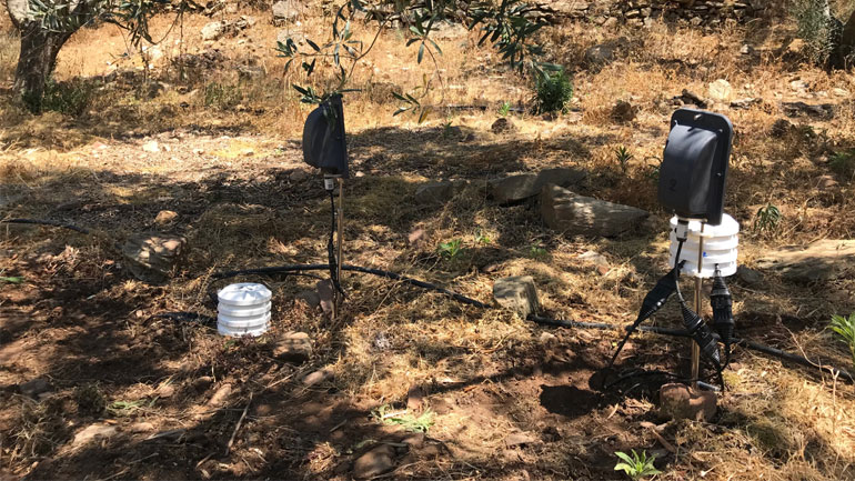 H Bosch χρησιμοποιεί αισθητήρες και στις ελαιοκαλλιέργειες