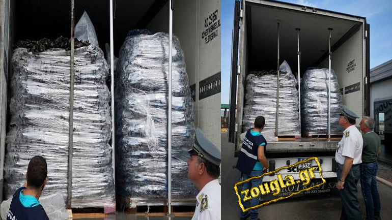 Κατάσχεση μαμούθ από τους Ιταλούς 24 τόνων μυδιών από την Ηγουμενίτσα Κατάσχεση μαμούθ από τους Ιταλούς 24 τόνων μυδιών από την Ηγουμενίτσα