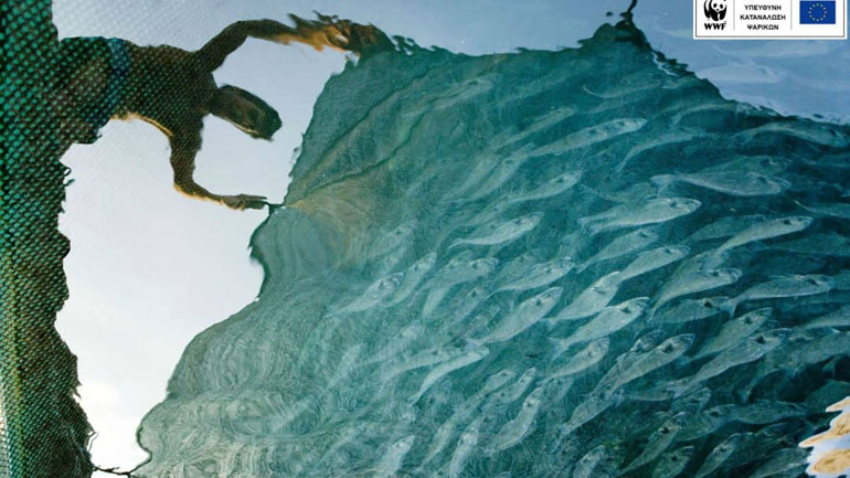 WWF: «Σήμερα είναι η μέρα που η Ελλάδα ξέμεινε από ψάρια»