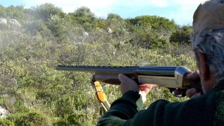 Τραυματίστηκε στο πρόσωπο ενώ κυνηγούσε