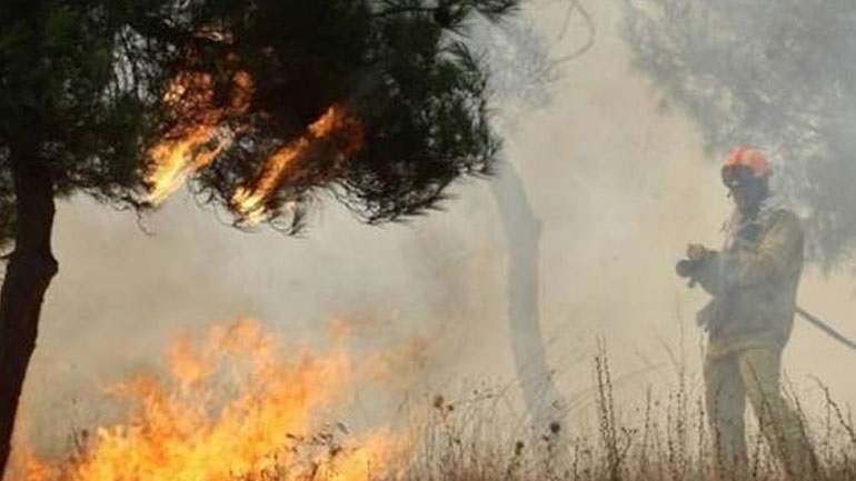 Θεσσαλονίκη: Πυρκαγιά σε έκταση στα Διαβατά