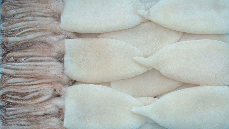 Κατασχέθηκαν ληγμένα καλαμάρια σε αποθήκη του Πειραιά