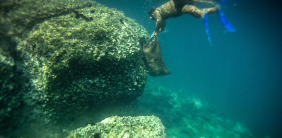 Μεζεδάκια στον βυθό