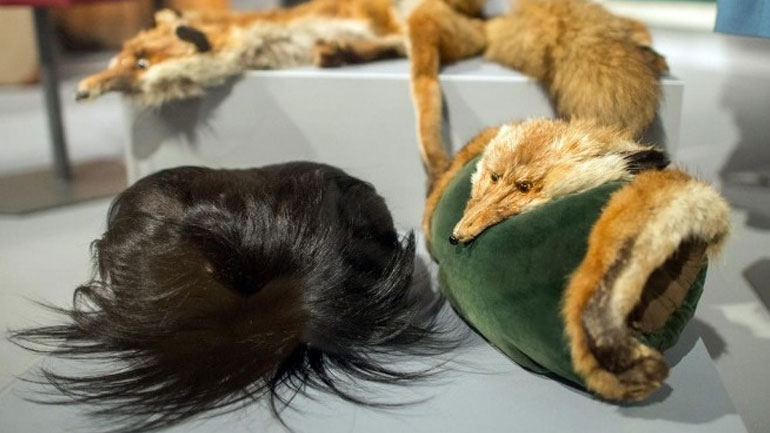 Το Λος Άντζελες ψηφίζει κατά της γούνας