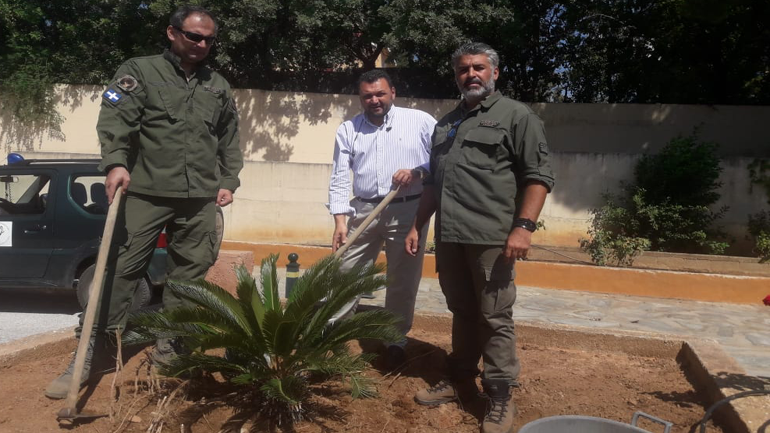 Δενδροφύτευση στα καμένα της Ι.Μ. Παντοκράτορος Ταώ (Νταού) Πεντέλης Δενδροφύτευση στα καμένα της Ι.Μ. Παντοκράτορος Ταώ (Νταού) Πεντέλης