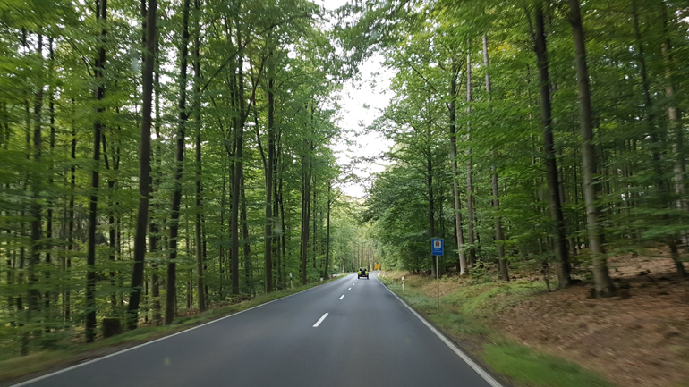 Δάσος, φύση, Jimny...