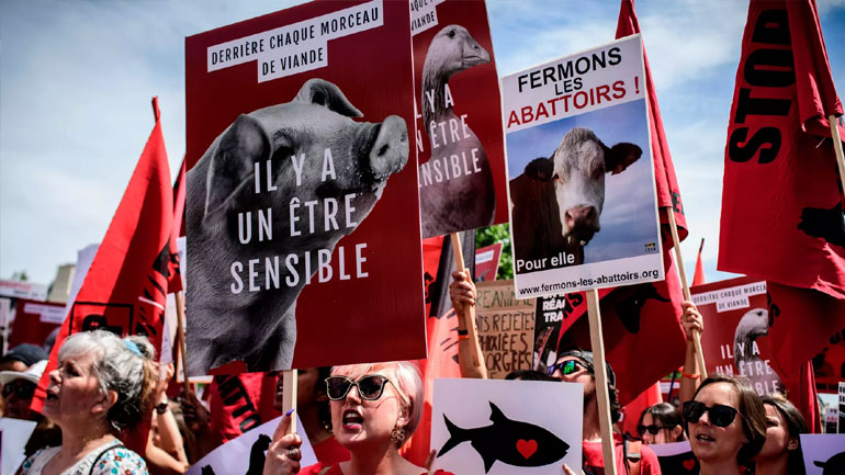 Κρεοπώλες στη Γαλλία προσλαμβάνουν security λόγω των βίγκαν