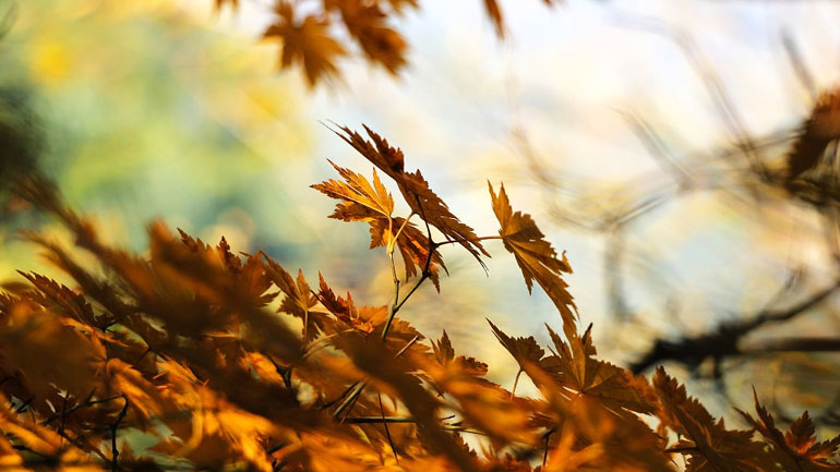 Μπαίνει το φθινόπωρο τα χαράματα της Κυριακής με τη φθινοπωρινή ισημερία