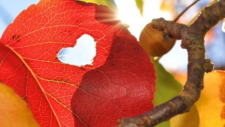 Οι προβλέψεις για τα αισθηματικά σου αυτήν την εβδομάδα