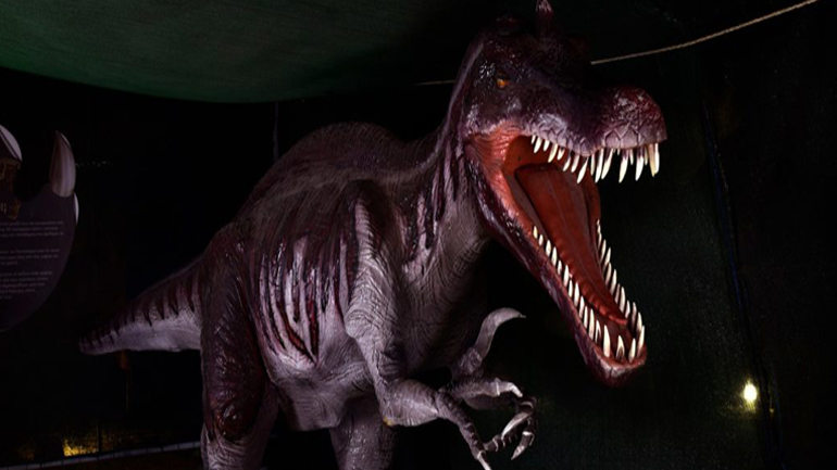 Οι Δεινόσαυροι ζωντανεύουν στην Αθήνα από 15 Οκτωβρίου 2018 έως 6 Ιανουαρίου 2019!