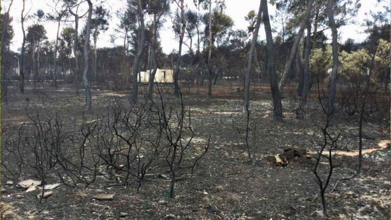 Ποσό 16,9 εκατ. ευρώ για έργα αντιδιαβρωτικής – αντιπλημμυρικής προστασίας στις πυρόπληκτες περιοχές της Αττικής