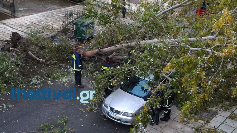 Θεσσαλονίκη: Πτώσεις δέντρων από τους ισχυρούς ανέμους
