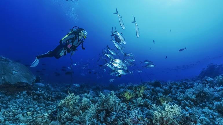 Νέα σελίδα περιβαλλοντικής διαχείρισης και προστασίας της Μεσογείου