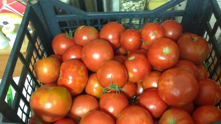 Κατασχέσεις 4,6 τόνων ντομάτας με υπολείμματα φυτοφαρμάκων