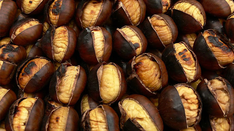 Αυξάνεται διαρκώς η παραγωγή κάστανου στην Ελλάδα, αλλά…