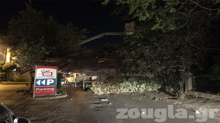Σοβαρή βλάβη στην ηλεκτροδότηση στην περιοχή της Κηφισιάς από πτώση δέντρου