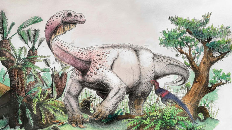 Απολίθωμα γιγαντιαίου δεινοσαύρου ανακαλύφθηκε στη Ν. Αφρική