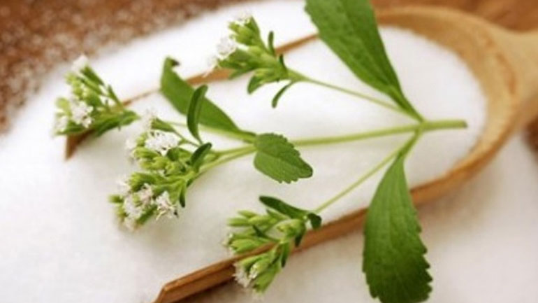 Όλα τα μυστικά γύρω από τη στέβια