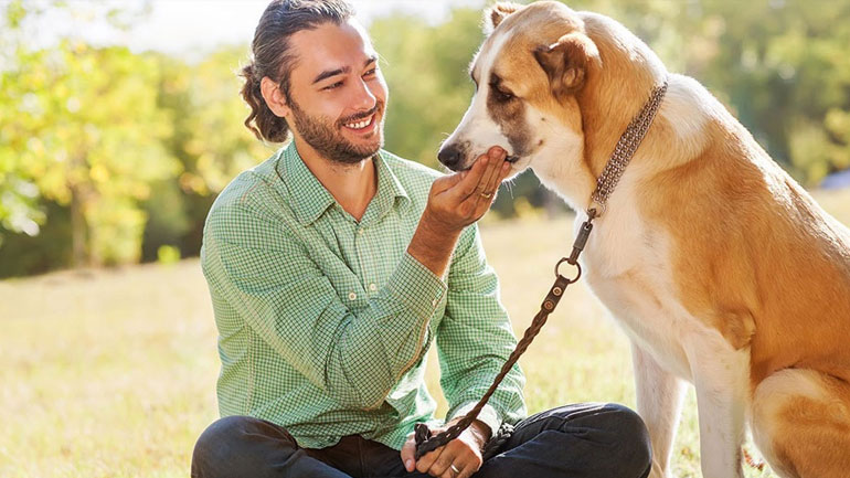 Πρόσεχε τα λόγια σου… μας ακούει ο σκύλος!