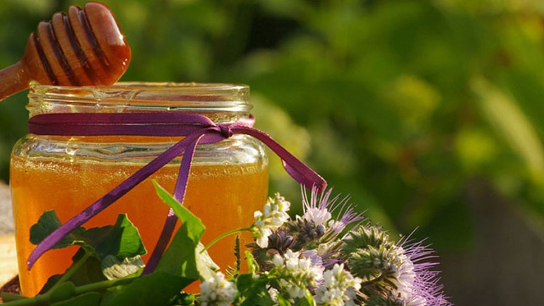 Κι όμως οι μέλισσες θεραπεύουν τα πάντα!
