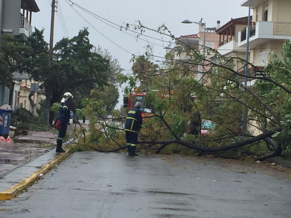 Στην οδό Σαλαμίνος στην Μαρίνα της Καλαμάτας, έσπασαν τα κλαδιά ενός μεγάλου δέντρου και ένα από αυτά έπεσε πάνω σε σταθμευμένο αυτοκίνητο, προκαλώντας του υλικές ζημιές