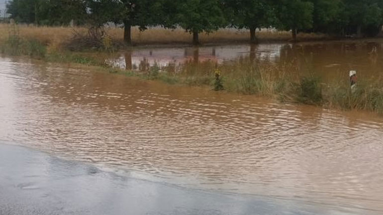Ο περιφερειάρχης Πελοποννήσου ζητεί την άμεση καταγραφή των ζημιών της αγροτικής παραγωγής από την κακοκαιρία