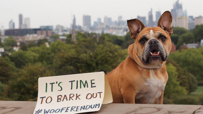 Οι … σκύλοι διαδηλώνουν κατά του Brexit