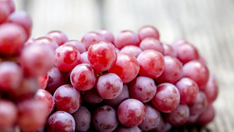 Μπορεί η ρεσβερατρόλη να προστατεύει από τον καρκίνο του πνεύμονα;