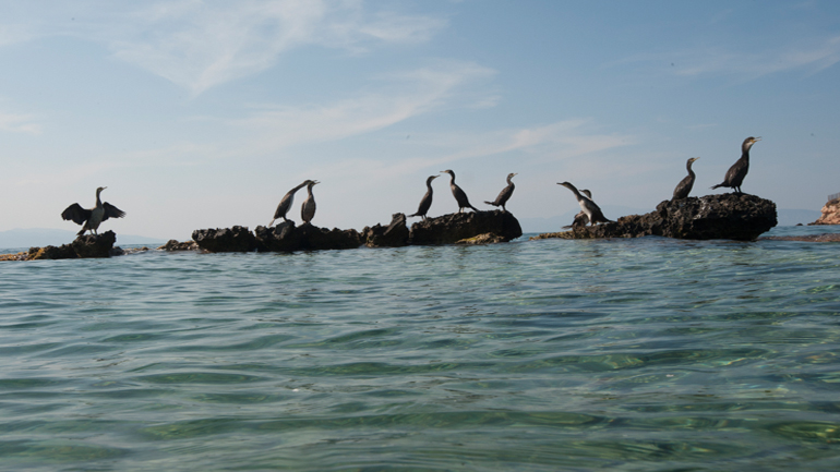 Οι Ευρωπαϊκές Ημέρες Πολιτιστικής Κληρονομιάς 2018 στην Αίγινα