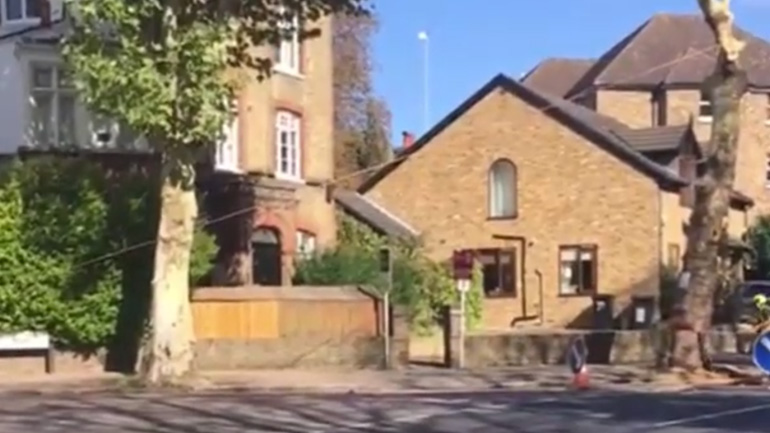 Δέντρο εναντίον ποδηλάτη