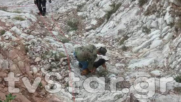 Πυροσβέστες κατέβηκαν στον γκρεμό 200 μέτρων για να σώσουν κυνηγόσκυλα