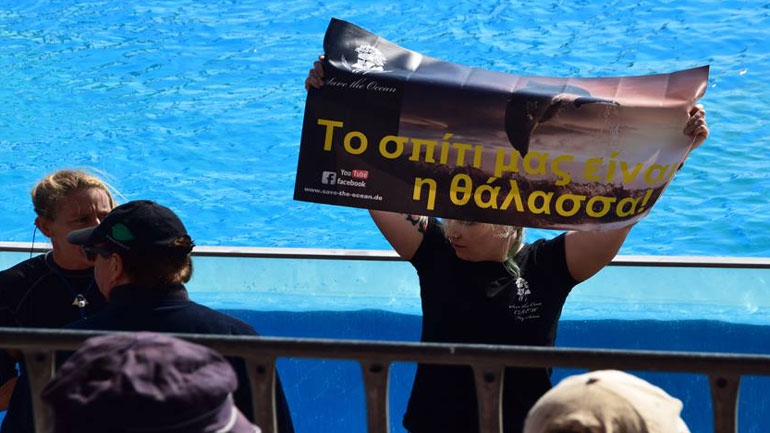 Ακτιβιστές για τα δικαιώματα των ζώων διέκοψαν την παράσταση με τα δελφίνια στο Αττικό Ζωολογικό Πάρκο