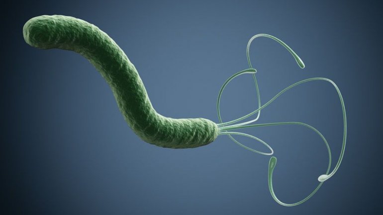 Το ελικοβακτήριο του πυλωρού συνδέεται με τον καρκίνο του εντέρου