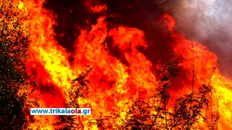 Τρίκαλα: Κάηκε ζωντανός προσπαθώντας να σβήσει φωτιά στο περιβόλι του