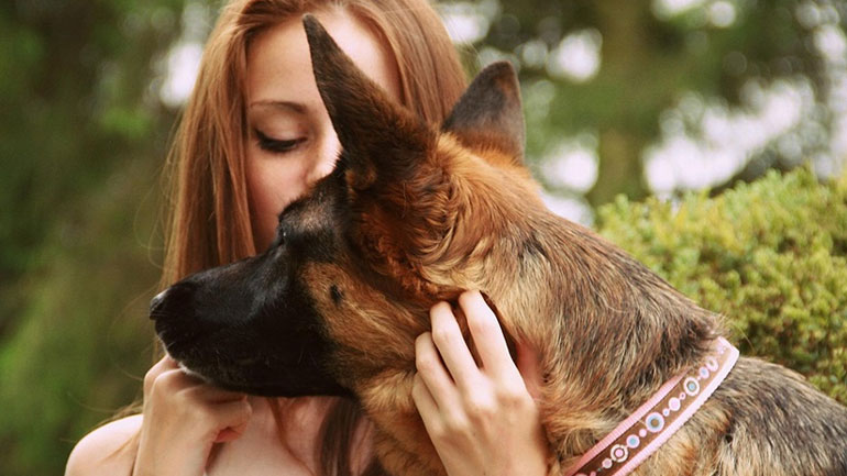 Οι σκύλοι μυρίζουν πράγματι τον καρκίνο