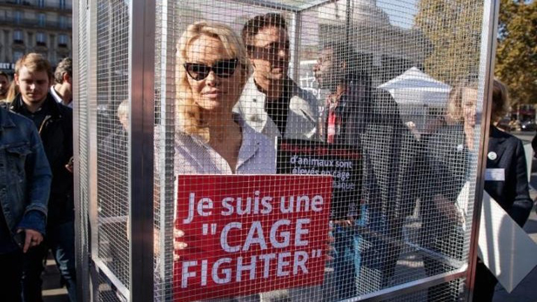 Η Πάμελα Άντερσον «σε κλουβί» για να καταγγείλει τον βασανισμό των ζώων